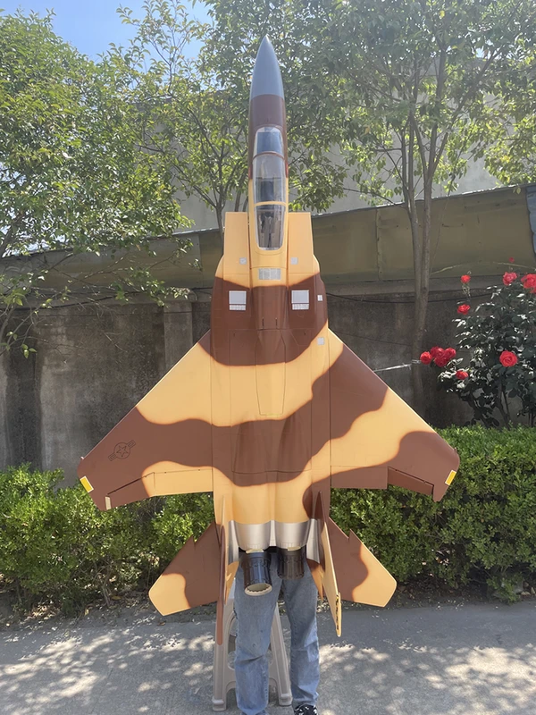 F-15 — 2.2 m photo 20